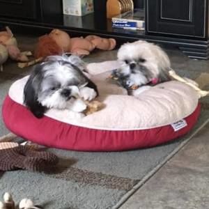 Meet your Posher, Robin